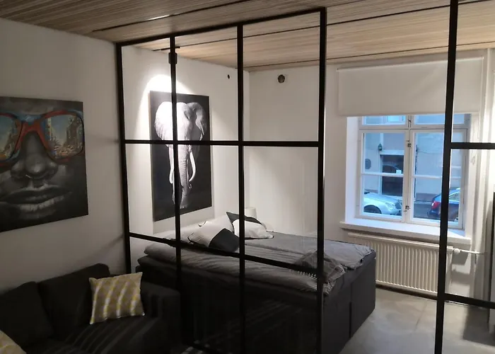 公寓 Ojakatu 坦佩雷